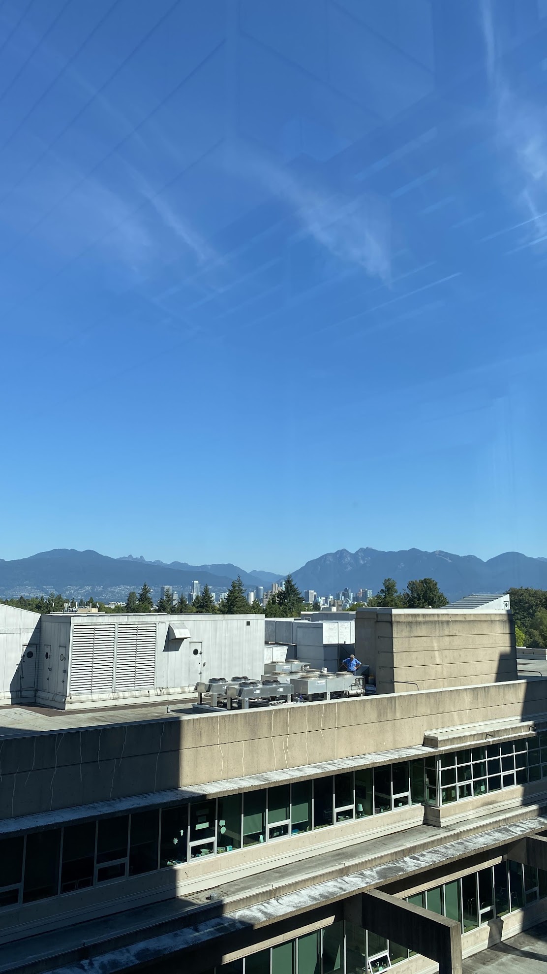 Information Systems & Operations Intern